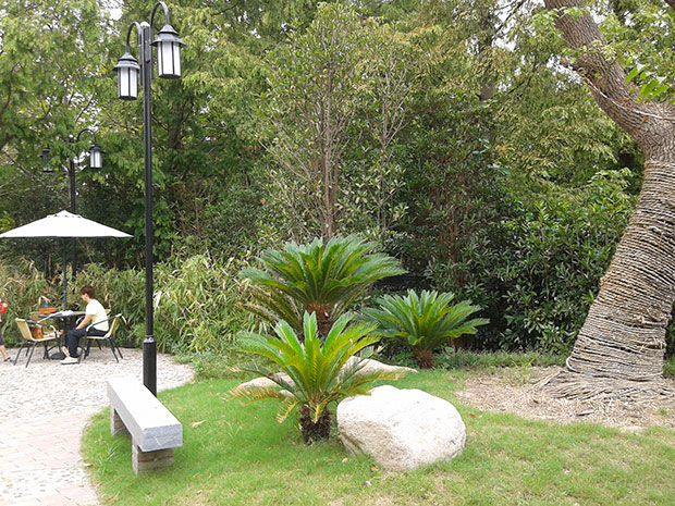 南通1.jpg 南通1.jpg